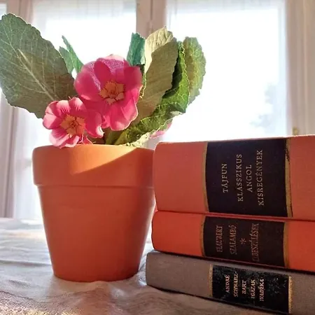 Malomtavi Vendeghaz 招待所